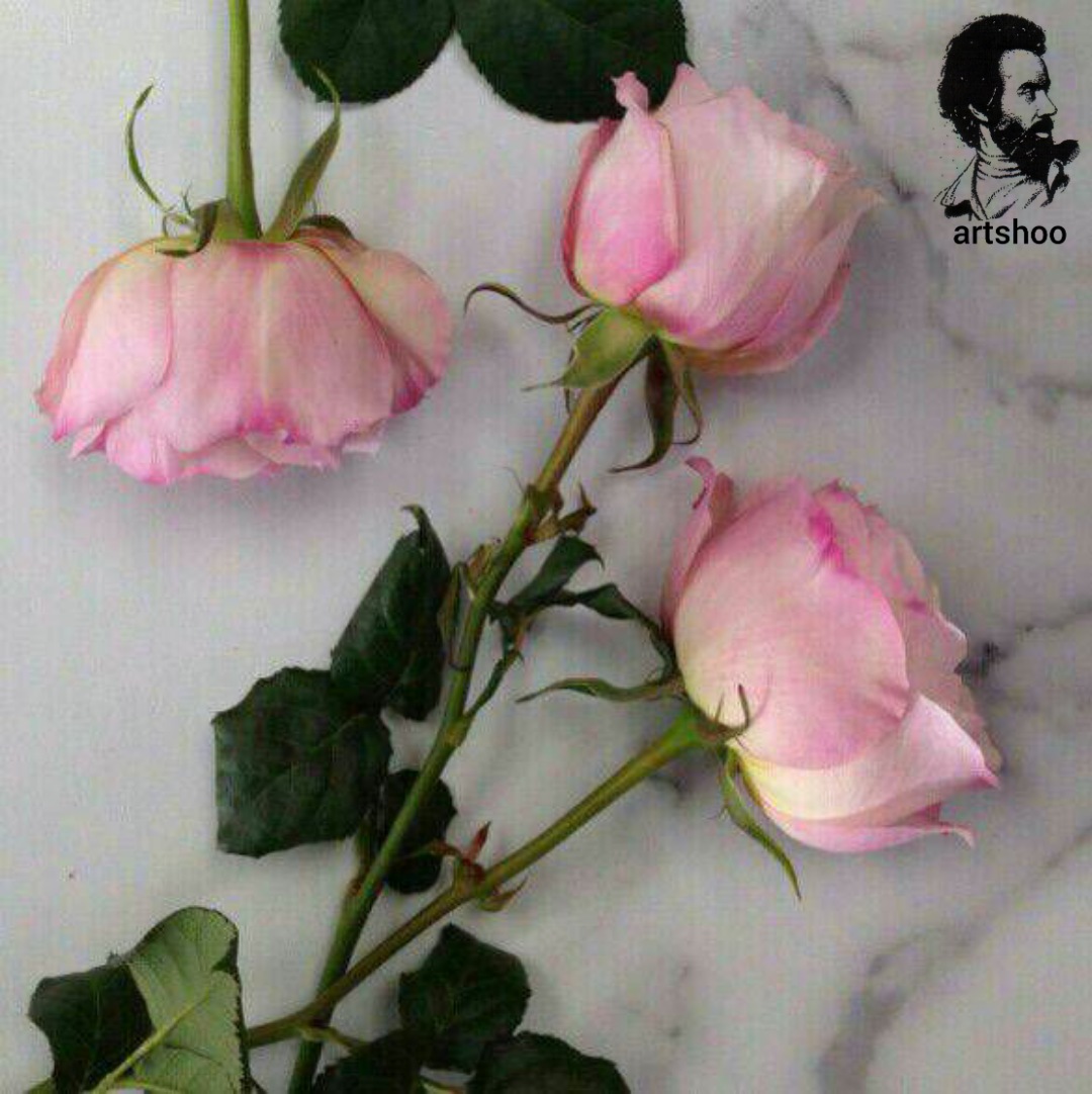 گل اورژینال رنگ روغن